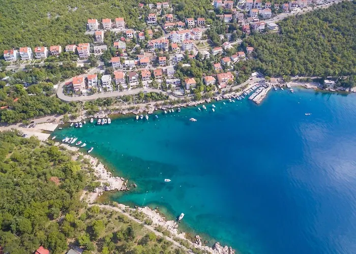 Nenad * 드라말리